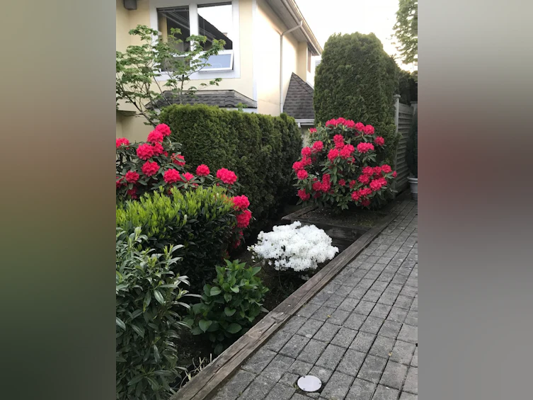 8459 Portside Court, Vancouver, BC, V5P 4V4 - 26