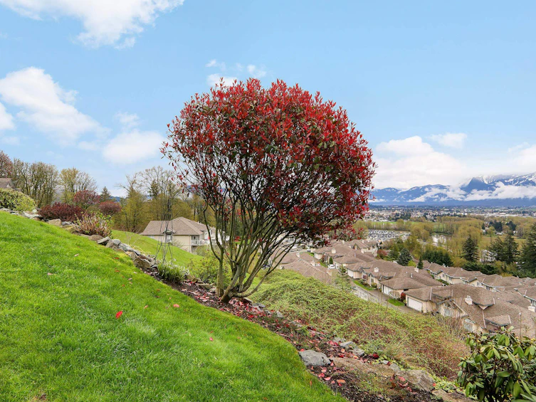86-8590 Sunrise Drive, Chilliwack, BC, V2R 3Z4 - 22