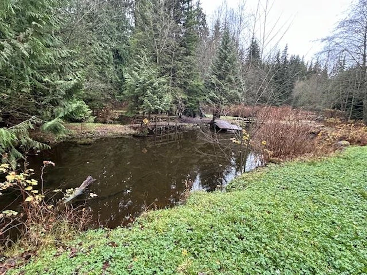 28316 Dewdney Trunk Road, Maple Ridge, BC, V2W 1M1 - 29