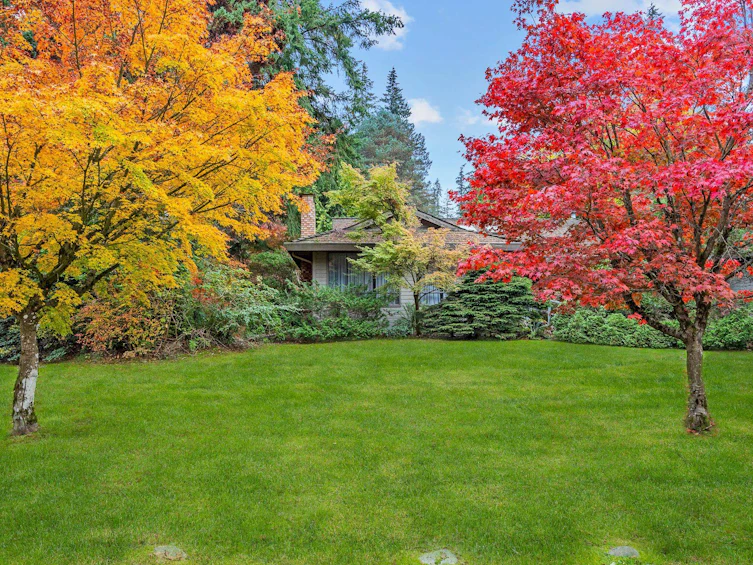 14090 26a Avenue, Surrey, BC, V4P 2E3 - 6