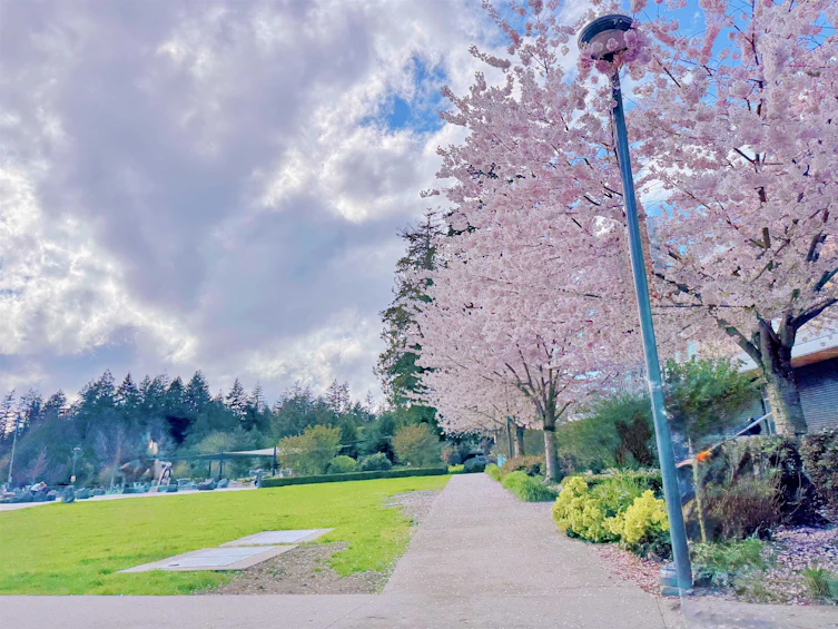 226-5928 Birney Avenue, Vancouver, BC, V6S 0B5 - 17