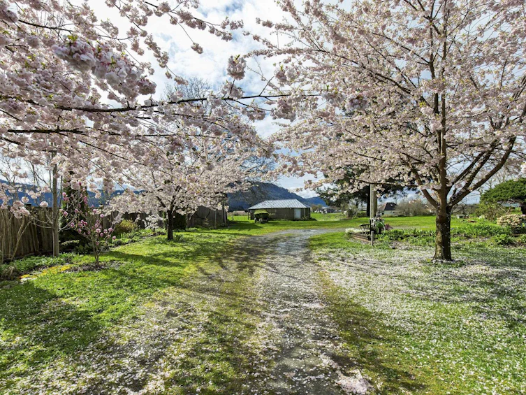 36828 Mckamie Road, Mission, BC, V2V 4J4 - 31