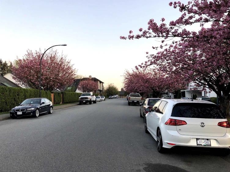 23-12070 207a Street, Maple Ridge, BC, V2X 9Y2 - 30