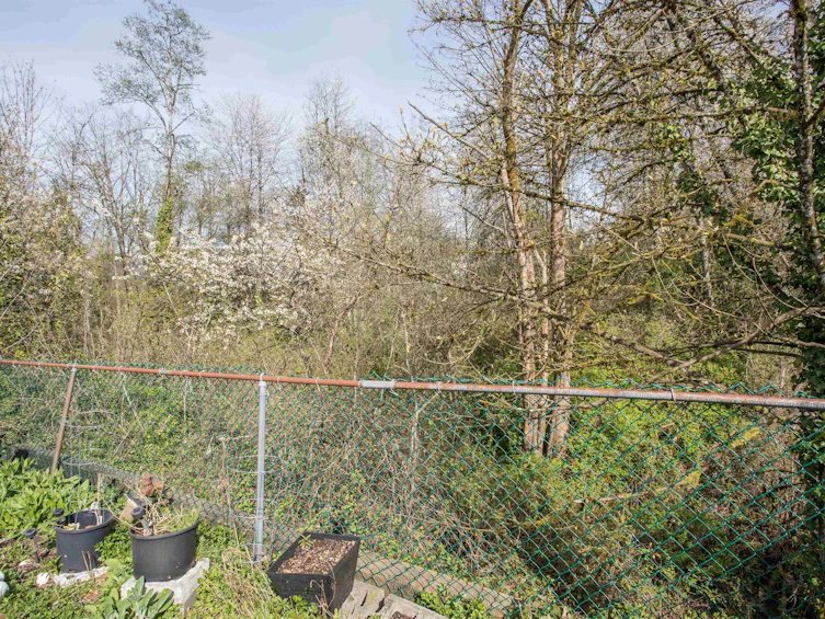 21-22308 124 Avenue, Maple Ridge, BC, V2X 0R6 - 22