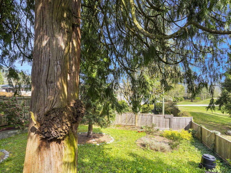 560 Garrow Drive, Port Moody, BC, V3H 1H5 - 29