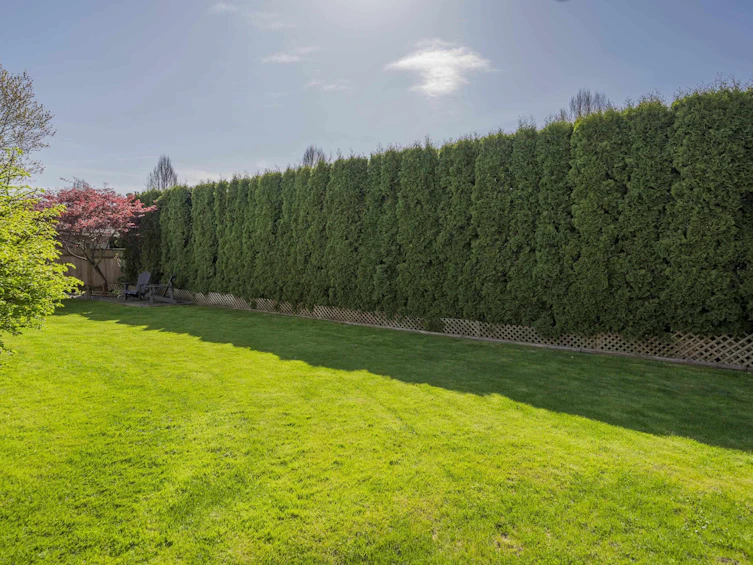 20275 94b Avenue, Langley, BC, V1M 1Y8 - 10