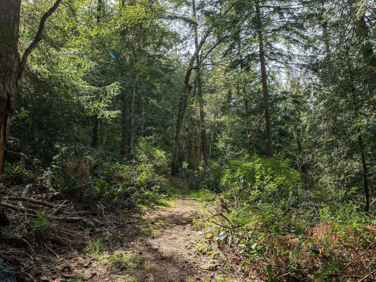 912 Taylor Road, Bowen Island, BC, V0N 1G1 - 27
