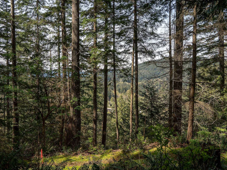 912 Taylor Road, Bowen Island, BC, V0N 1G1 - 22