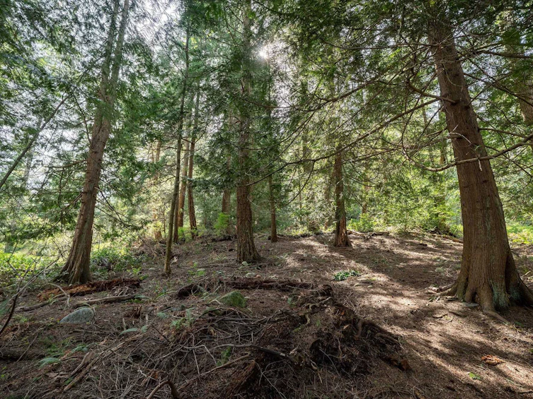912 Taylor Road, Bowen Island, BC, V0N 1G1 - 20