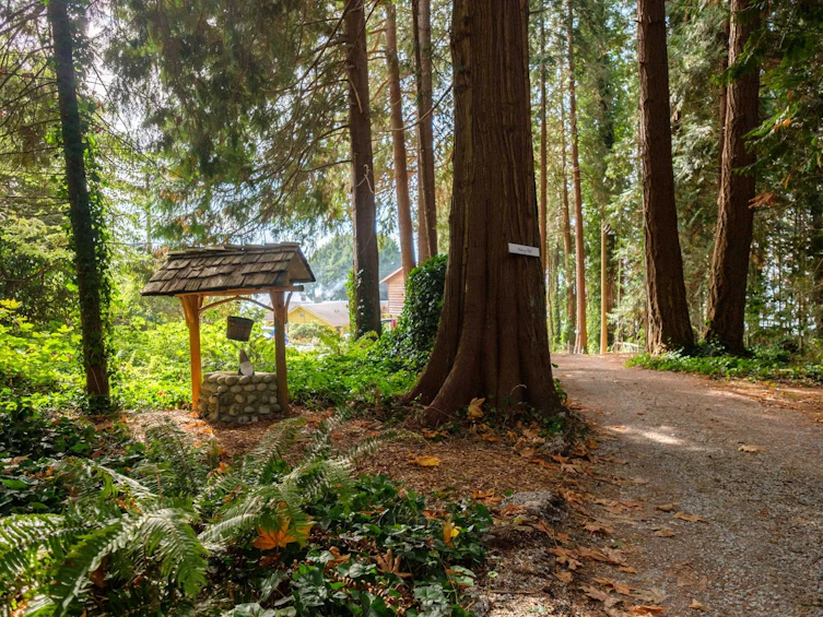 2873 Lower Road, Roberts Creek, BC, V0N 2W4 - 36
