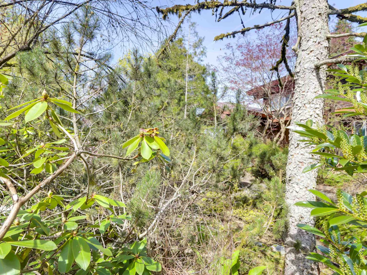 3770 Cedar Crescent, Vancouver, BC, V6J 2R8 - 27