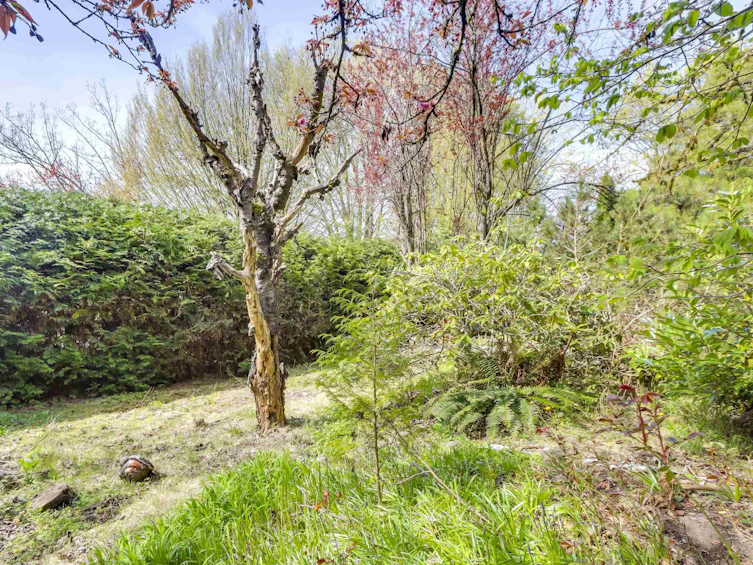 3770 Cedar Crescent, Vancouver, BC, V6J 2R8 - 26