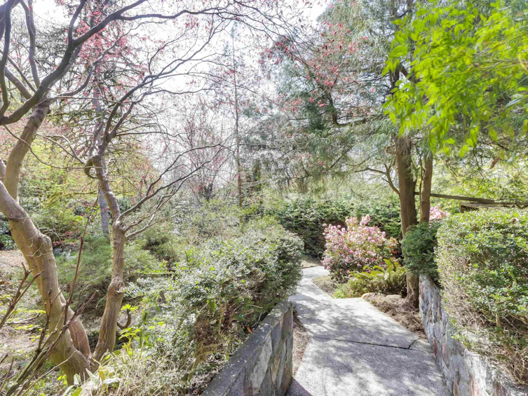 3770 Cedar Crescent, Vancouver, BC, V6J 2R8 - 11