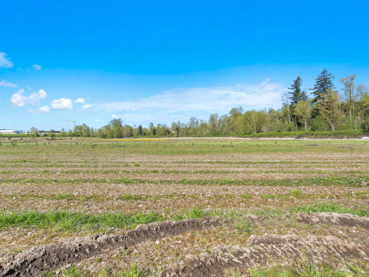 27890 Montesina Avenue, Abbotsford, BC, V4X 1H7 - 22