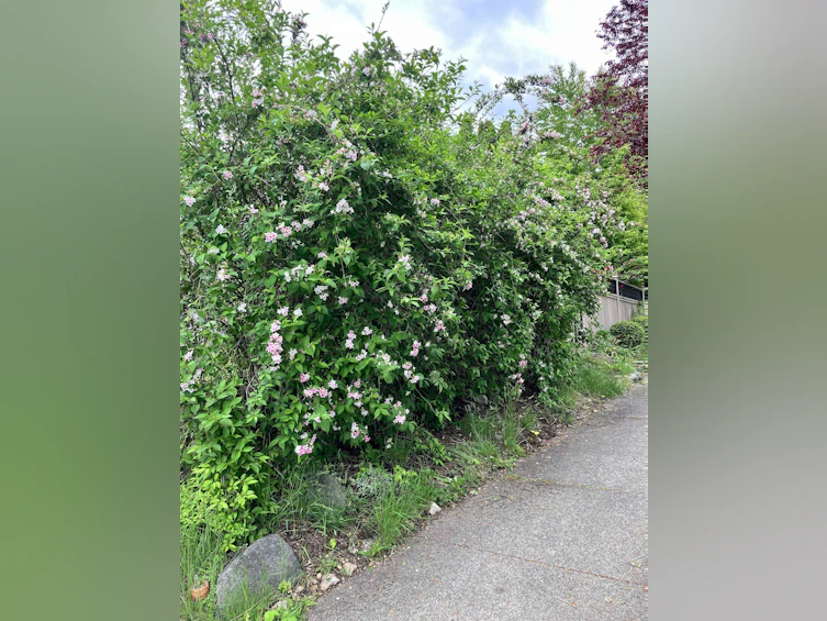 3605 Oxford Street, Vancouver, BC, V5K 1P4 - 29