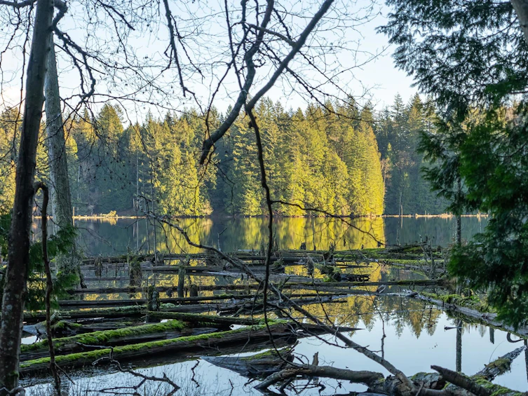 850 Bolton Road, Bowen Island, BC, V0N 1G2 - 36