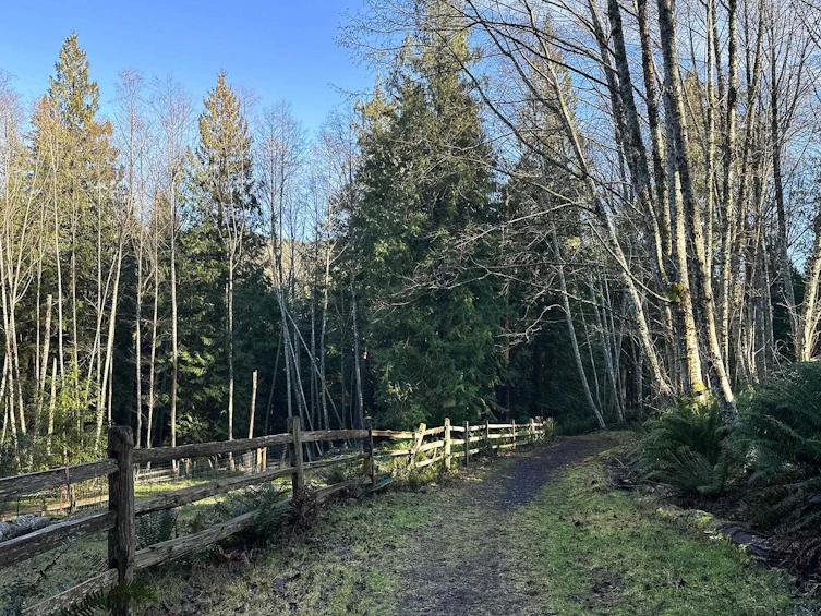 850 Bolton Road, Bowen Island, BC, V0N 1G2 - 35