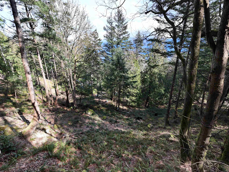 1588 Eagle Cliff Road, Bowen Island, BC, V0N 1G1 - 8