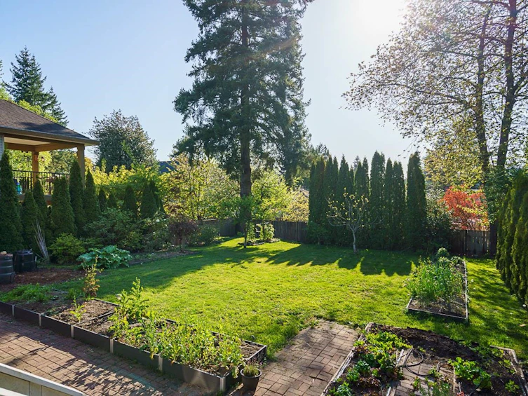 10765 141a Street, Surrey, BC, V3T 4R6 - 19