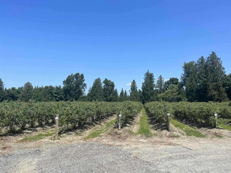 4281 Bradner Road, Abbotsford, BC, V4X 1S9 - 4