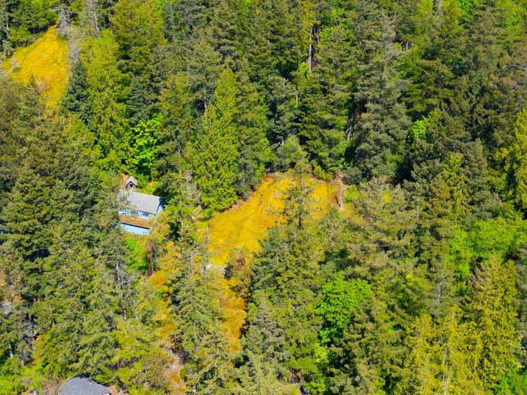 319 David Road, Bowen Island, BC, V0N 1G1 - 6