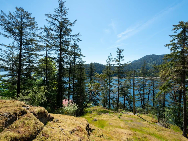 319 David Road, Bowen Island, BC, V0N 1G1 - 2