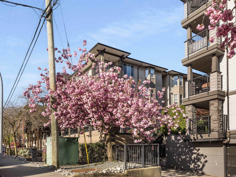 310-5488 198 Street, Langley, BC, V3A 1G2 - 32
