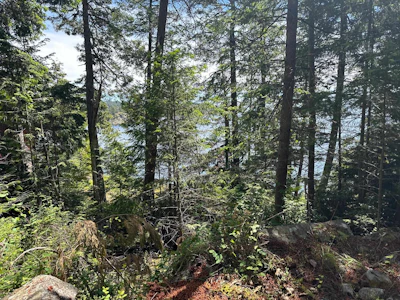 Lot 10 Orca Road - 4