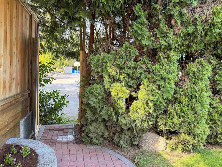 3169 Tory Avenue, Coquitlam, BC, V3E 2E2 - 32