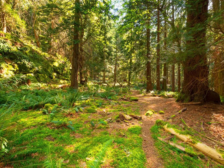 1587 Mount Gardner Road, Bowen Island, BC, V0N 1G2 - 38