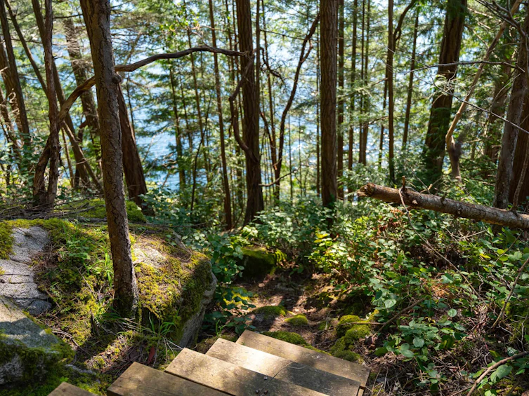 6037 Sandy Hook Road, Sechelt, BC, V7Z 0C9 - 22