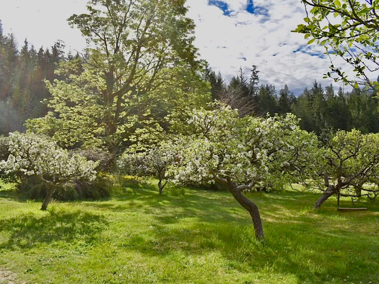 5768 Sutherland Road, Halfmoon Bay, BC, V7Z 1G9 - 37