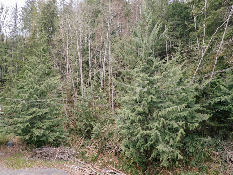 Lot 66 Greentree Road, Pender Harbour Egmont, BC, V0N 2H4 - 2