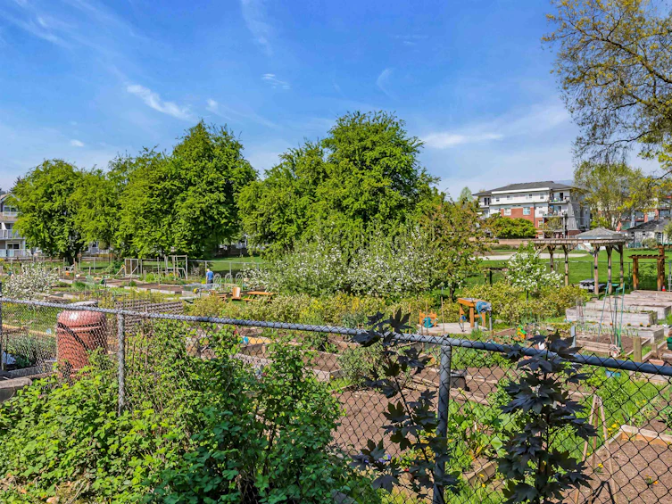 218-2345 Rindall Avenue, Port Coquitlam, BC, V3C 1V3 - 35