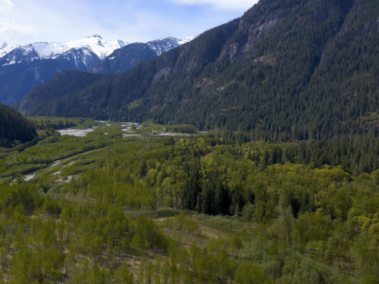 1184 Squamish River Way, Squamish, BC, V8B 0G3 - 3