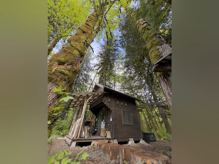 1184 Squamish River Way, Squamish, BC, V8B 0G3 - 9