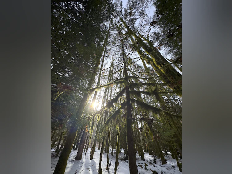 1184 Squamish River Way, Squamish, BC, V8B 0G3 - 29