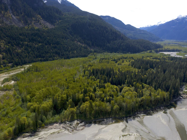 1184 Squamish River Way, Squamish, BC, V8B 0G3 - 4