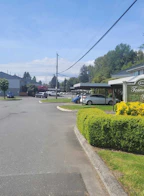 123 45185 Wolfe Road