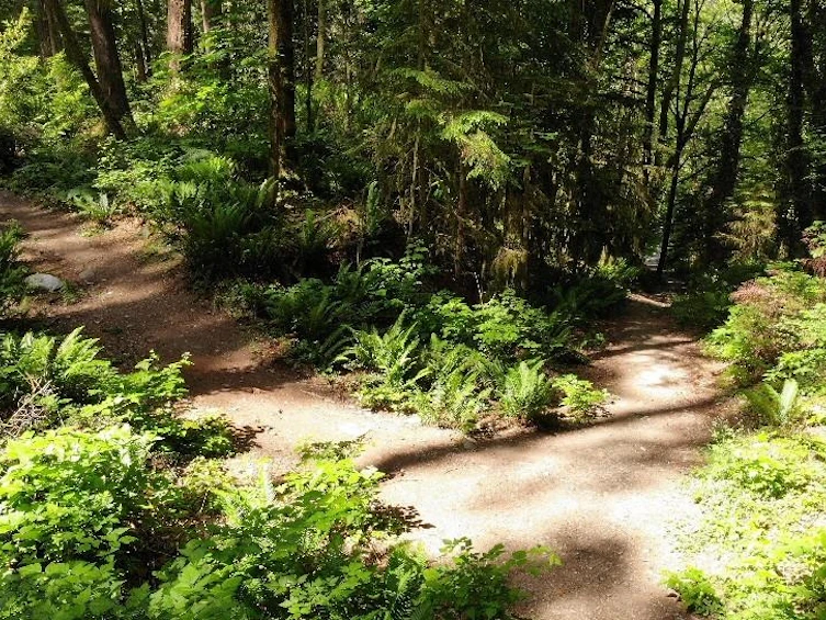Lot 17 Riverside Drive, North Vancouver, BC, V7H 1V5 - 21