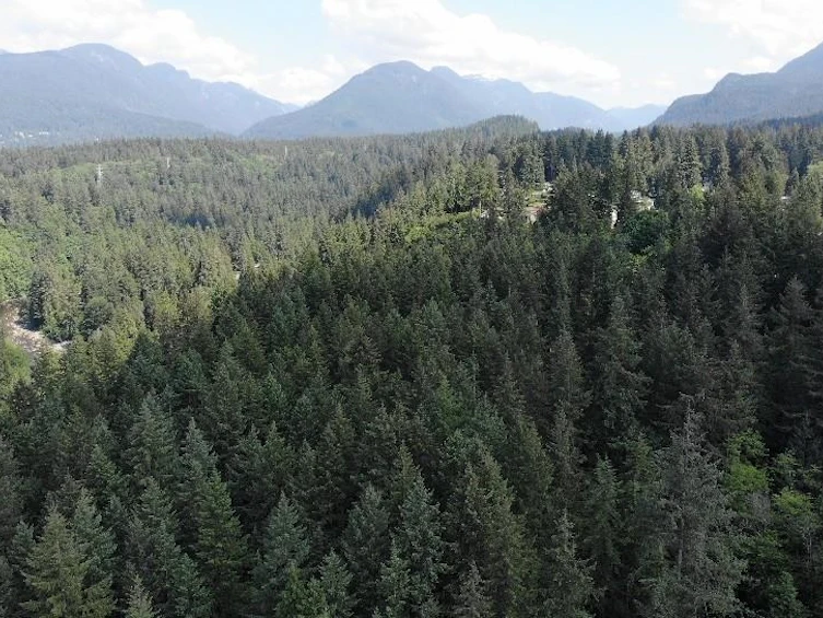 Lot 17 Riverside Drive, North Vancouver, BC, V7H 1V5 - 23
