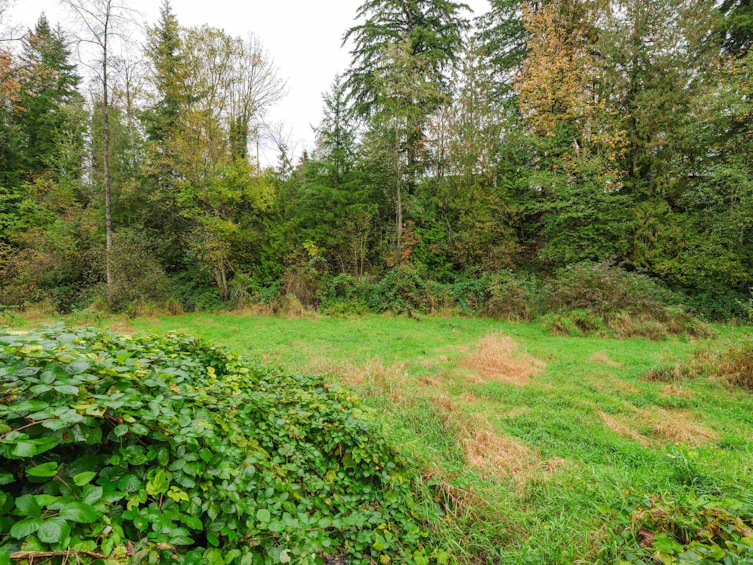 9822 287 Street, Maple Ridge, BC, V2W 1K9 - 38
