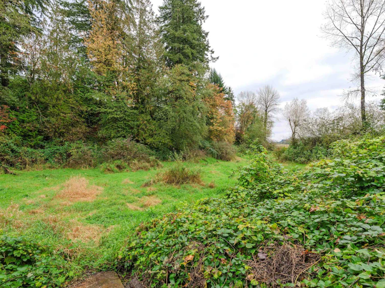 9822 287 Street, Maple Ridge, BC, V2W 1K9 - 37