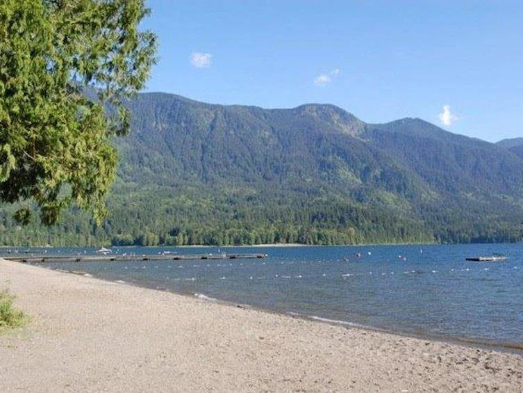 43384 Blue Grouse Lane, Columbia Valley, BC, V2R 0X8 - 31