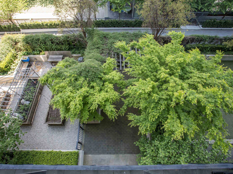314-4468 Dawson Street, Burnaby, BC, V5C 0J9 - 24