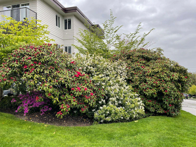 209-2125 W 2nd Avenue, Vancouver, BC, V6K 1H7 - 29