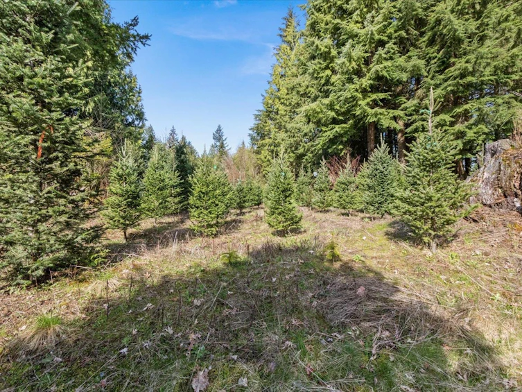 49451 Voight Road, Chilliwack, BC, V4Z 1E9 - 39