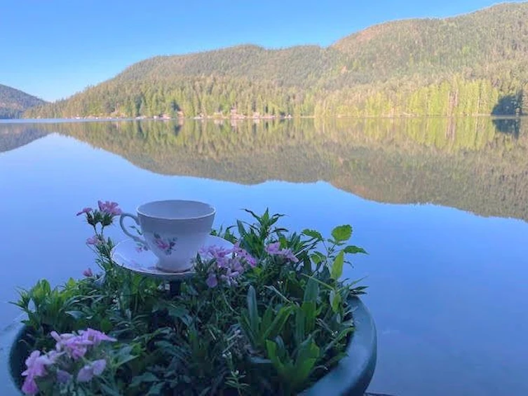 8120 West Sakinaw Lakeshore Way, Pender Harbour Egmont, BC, V0N 2E0 - 22