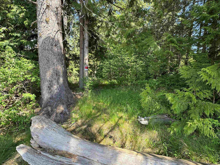 LOT A Burnett Road, Sechelt, BC, V7Z 0L2 - 8