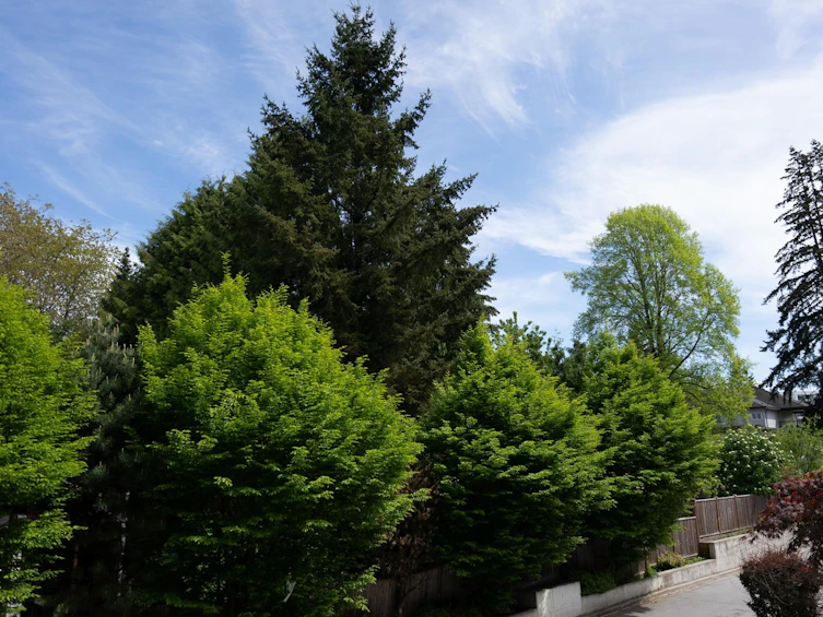 206-13678 Grosvenor Road, Surrey, BC, V3R 5E2 - 33